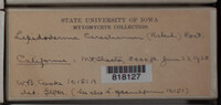 Image Associated With the Occurence